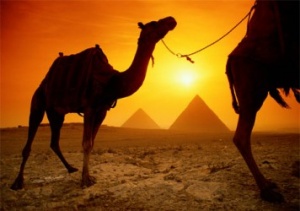 Egypt launches new e-visa service
