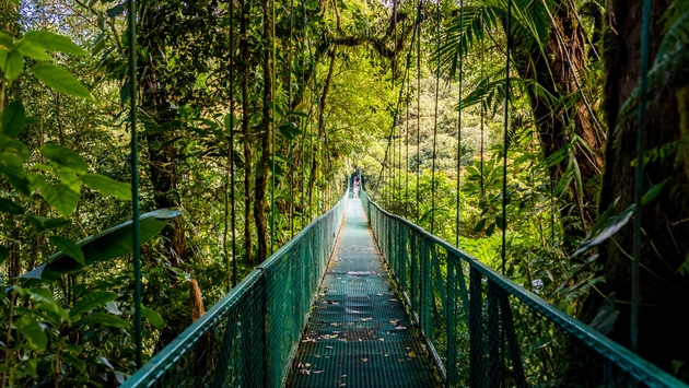Walking on hanging bridges in Cloudforest - Travel destination Costa Rica (SimonDannhauer / iStock / Getty Images Plus)