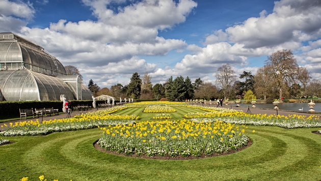 Kew gardens in London