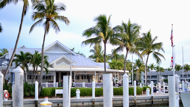 restaurant, palm trees, harbor, Harbourside Bar and Grille, South Seas Resort, Captiva Island