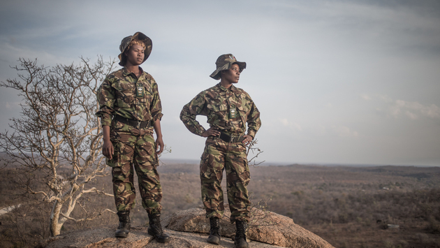 Africa, black mamba, anti-poaching unit