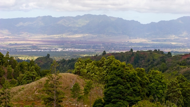 Expansive view of Oahu from the Manana Trail